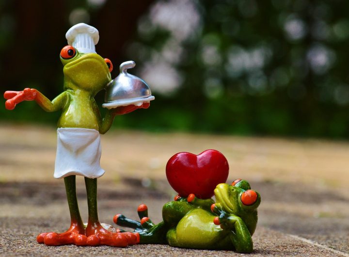Frog, cook, love — An In-depth Look at Corrie Cooks: Revolutionizing Home Cooking with Instant Pot Recipes