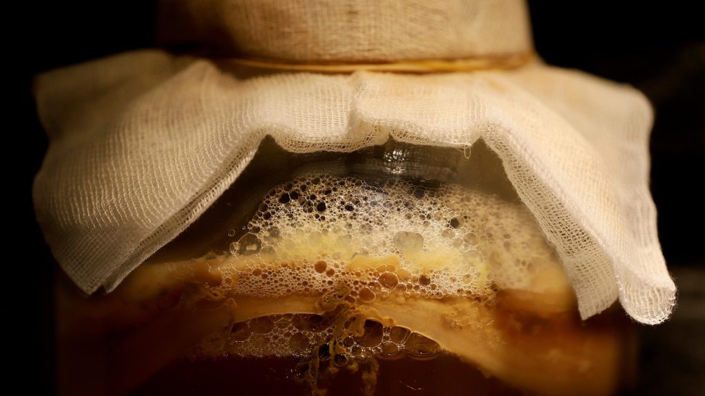 Kombucha, fermented drink, fermentation — Supercharge Your Ads Performance with White Label Facebook Ads Agency