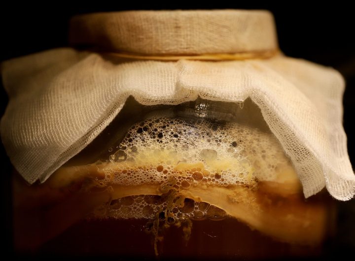 Kombucha, fermented drink, fermentation — Supercharge Your Ads Performance with White Label Facebook Ads Agency