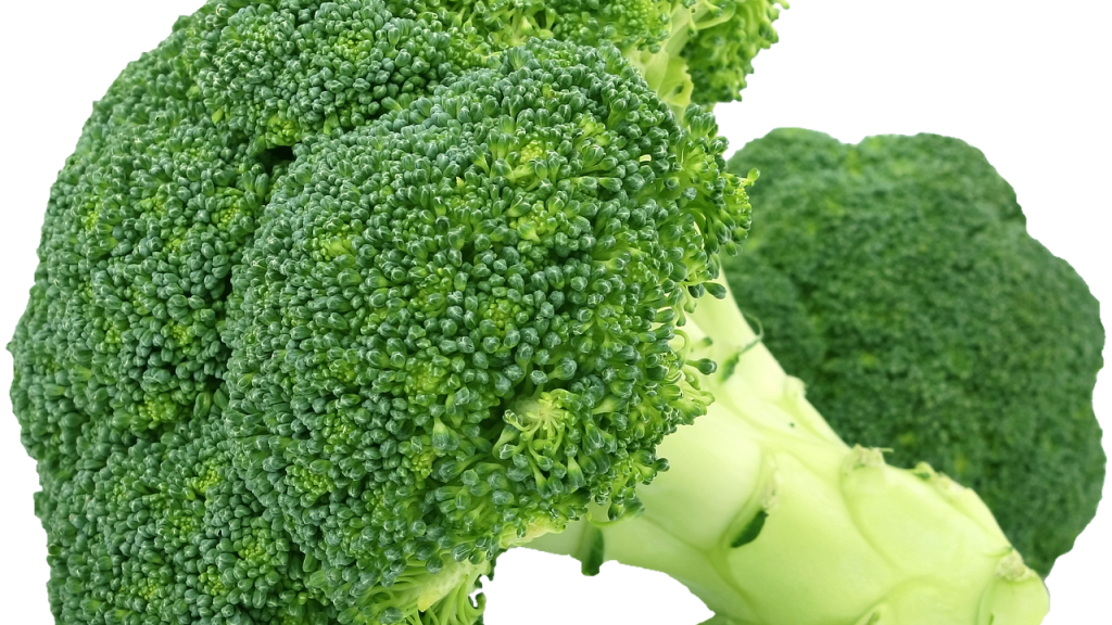 Broccoli, vegetable, food — The Pesach Perspective: Interactive Learning for History and Faith