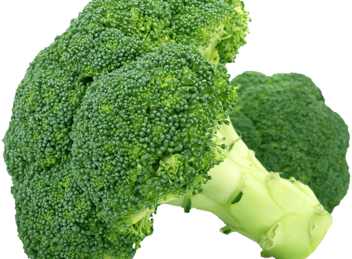 Broccoli, vegetable, food — The Pesach Perspective: Interactive Learning for History and Faith