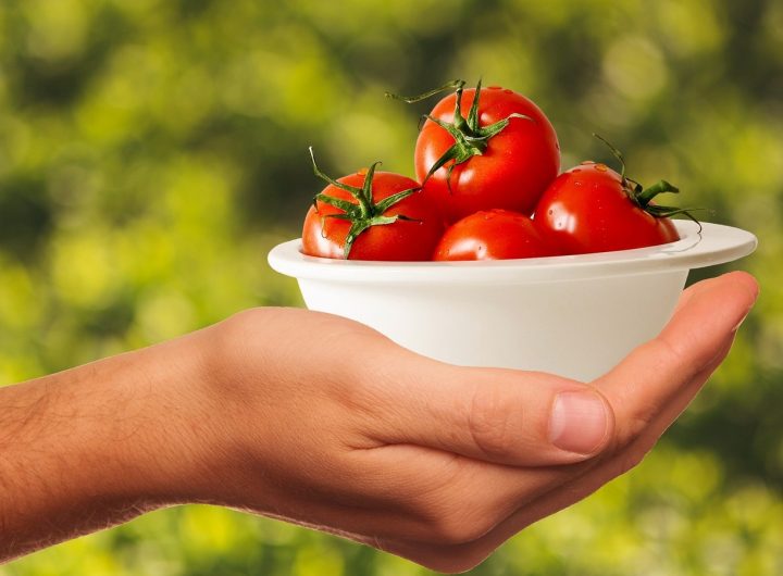 Tomatoes, vegetables, healthy — Unlocking the Sweetness: The Ultimate Guide to Enjoying Fresh Dates